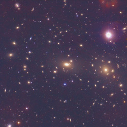 Coma Cluster - Visible Light Image